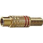 ELCART DISTRIBUTION ERT040203900 PRESA VOL. RCA DORATA GIALLA POL