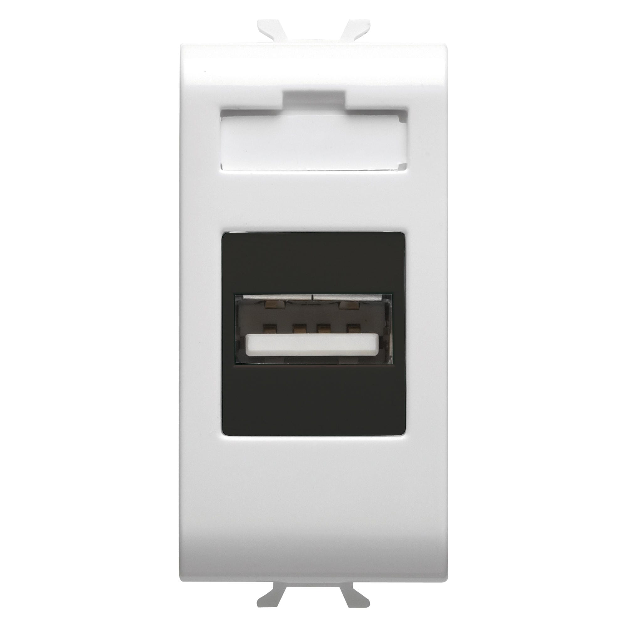GEWISS GEWGW15459 PRESA USB 1M B.SAT