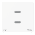 GEWISS GEWGWC20365 ALIMENTATORE USB TIPO C+C 63W PD 2M BIAN
