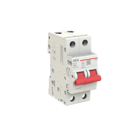 ELETTRA SRL AEG AEGESD2063 SEZIONAT.MODULARE AEG ESD 2P 63A 2M
