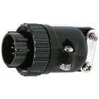 ELCART DISTRIBUTION - ERT050317000 CONN.SPINA VOL. CONT.MASC.16P 5A