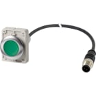 EATON EAO186005 C30C-FDL-G-K10-24-P5