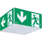 EATON EAO40071353422 EXIT CUBE 33042 LED CG-S