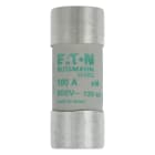 EATON EAOC22M100 C22M100 22X58, AM, 100A, 690VAC