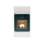 SCAME PARRE SPA - SCA101.6481.60G PRESA EDP RJ45CAT.6 8/8UTP(N/SCHER.) GR