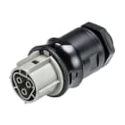 WIELAND ELECTRIC SRL - WIE96.031.6054.3 FEMALE CONNECTORRST25I3S B1 M00 BG03