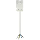 WIELAND ELECTRIC SRL - WIE92.255.1064.2 ASSEMBLED CABLE GST18I5KS-S 75H 10WS