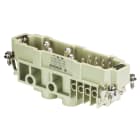 WIELAND ELECTRIC SRL - WIE72.216.1253.0 MALE INSERT POW STS 4/8 NL BB AG