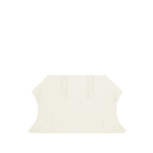 WEIDMULLER - WEI1050090000 WAP 2.5-10 WS