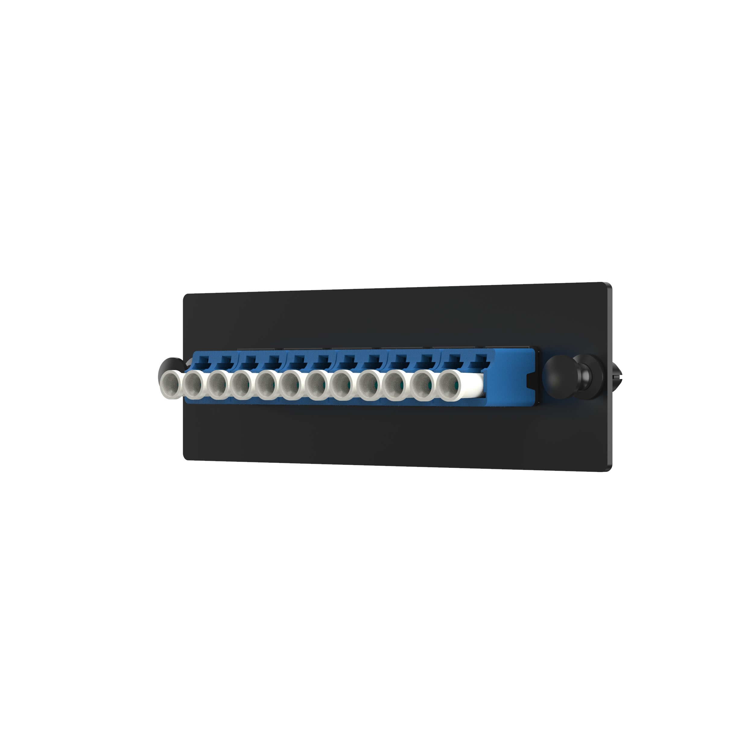 PANDUIT - PANFAP12WBULCZ FAP LC CARICATO CON 12 ADATTATORI (BLU)