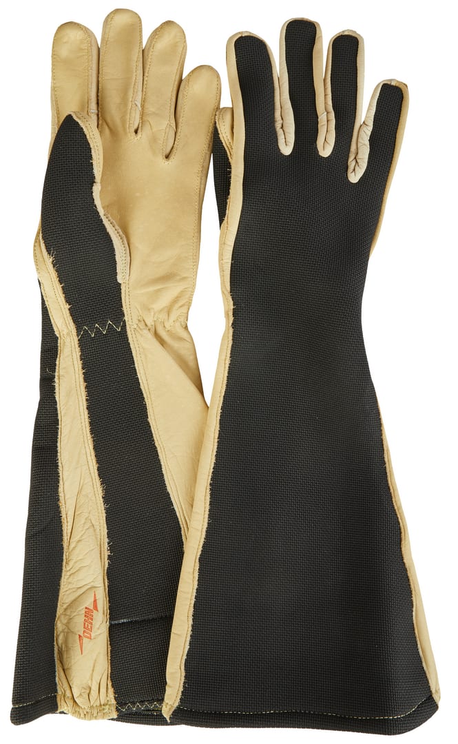 DEHN ITALIA SPA DEH785810 APG 10 L GUANTI 1 PAIO