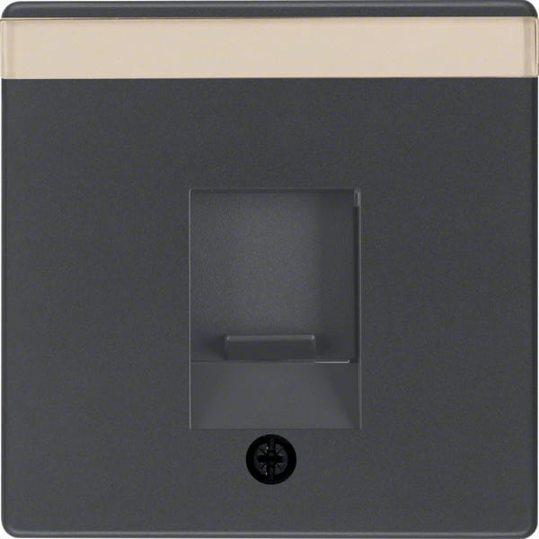 BERKER - BRK11706086 Zentralstück m Staubs u BF Q.x anthrazit