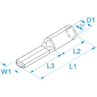 BM SPA - BMM01950 PUNTALE NUDO 70