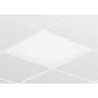 SIGNIFY ITALY SPA - PHA36047800 RC132V G4 LED43S/840 PSD W60L60 OC