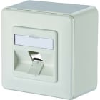 Metz MEZ130B20D10002KE Keystone Anschlussdose AP 1 Port reinwei