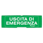 NOTIFIER ITALIA SR - NOTP-PAN1-P-USC-V PELL. USCITA DI EMERGENZA FONDO VERDE