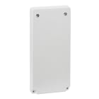 SCHNEIDER ELECTRIC SNR13048 MUREVA ENCLOSURES PLACCA CIECA 103X225