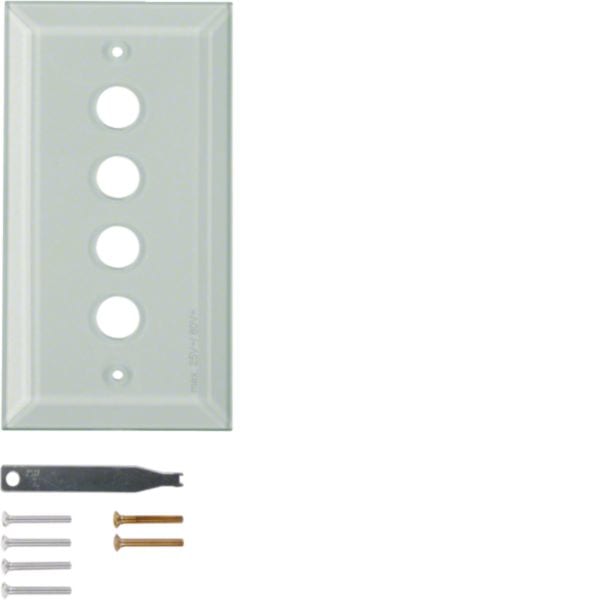 BERKER - BRK1341 PLACCA VETRO 4P SMUSS SERIE TS CHIAR LUC