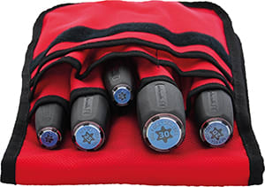 INTERCABLE SRL INR1399013 SET - GIRAVITI PER VITI TORX
