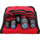 INTERCABLE SRL INR1399013 SET - GIRAVITI PER VITI TORX