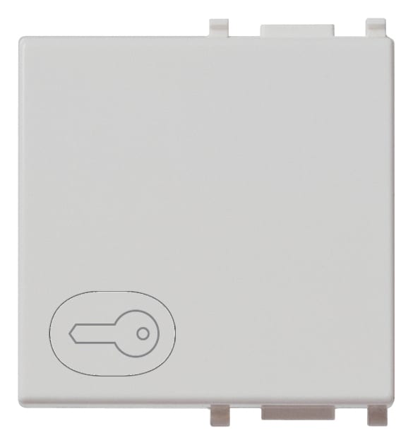 VIMAR SPA VIW14022.P.SL TASTO 2M SIMBOLO CHIAVE SILVER