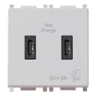 VIMAR SPA - VIW14295.CC.SL Alimentatore USB C+C 15W 3A 5V 2M Silver