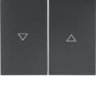 BERKER BRK14357106 Wippe 2fach mit Aufdruck Symbol Pfeil Be