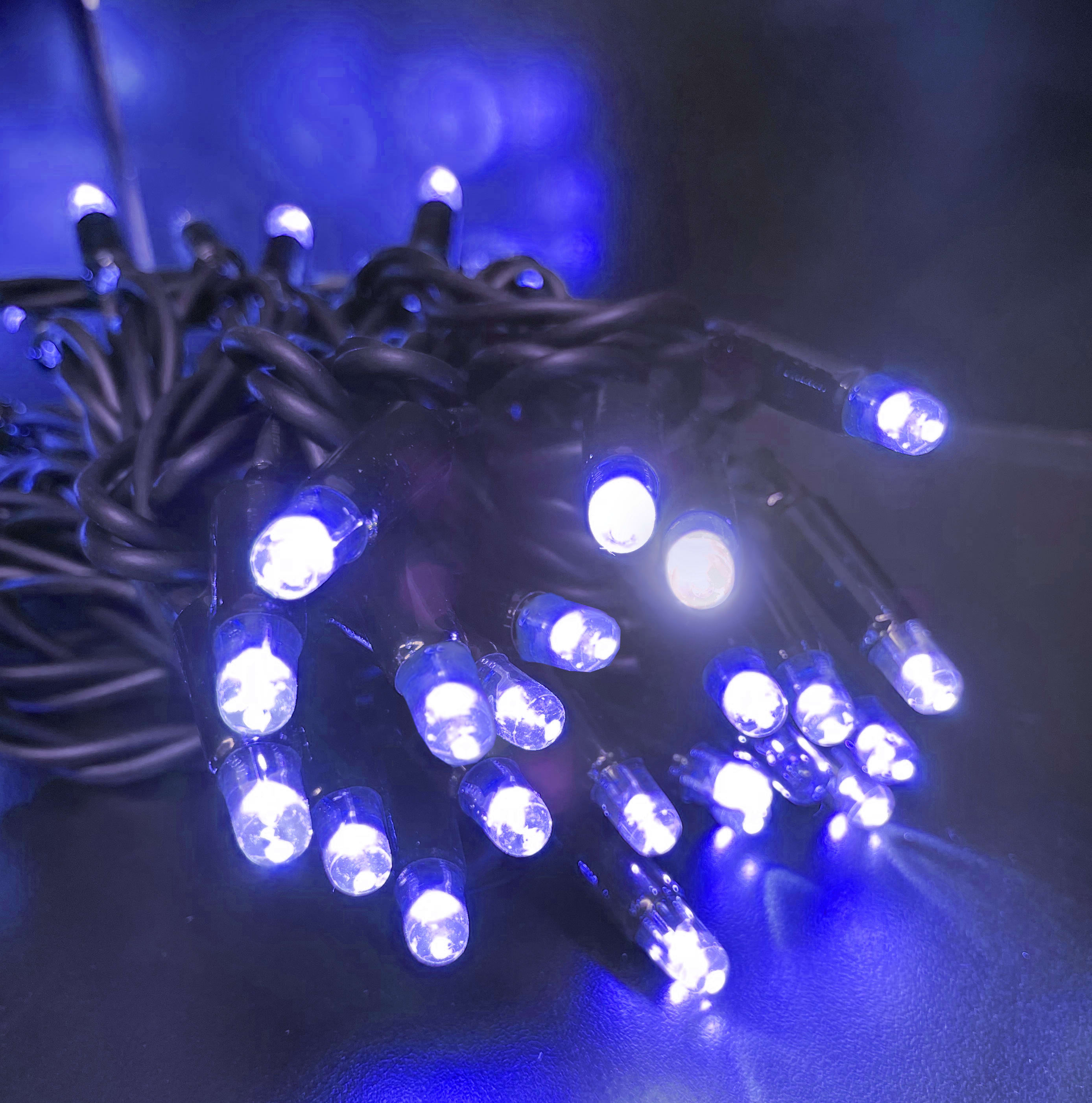 GIOCOPLAST NATALE SP GCP14321388 100 LUCCIOLONE LED BLU LUCE FISSA 10 MT.