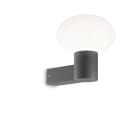 IDEAL LUX SRL - IUX145228 CLIO MAP1 ANTRACITE