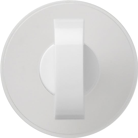 GIRA GIR1466112 Knebel Flachenschalter Reinweiss