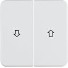 BERKER - BRK155229 Wippe 2fach mit Aufdruck Symbol Pfeil wg