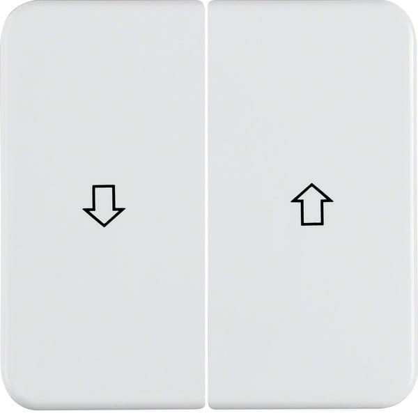 BERKER BRK155229 Wippe 2fach mit Aufdruck Symbol Pfeil wg