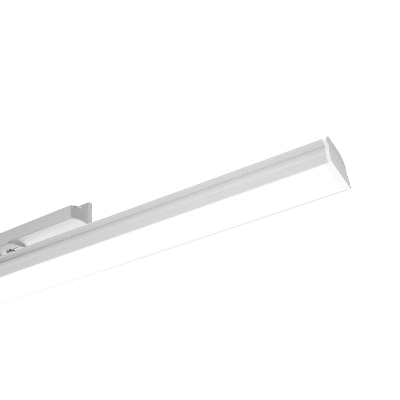 LINEA LIGHT (ILED) - ILDC00881WHNDI ROLLIP35_T 2 L1176 25WDC DALI WH N