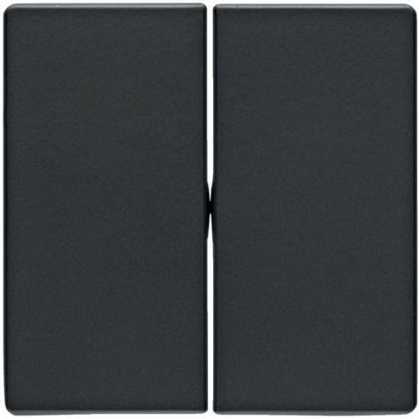 BERKER - BRK16236086 Wippe 2fach Berker Q.1/Q.3 anthrazit sam