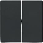 BERKER - BRK16236086 Wippe 2fach Berker Q.1/Q.3 anthrazit sam