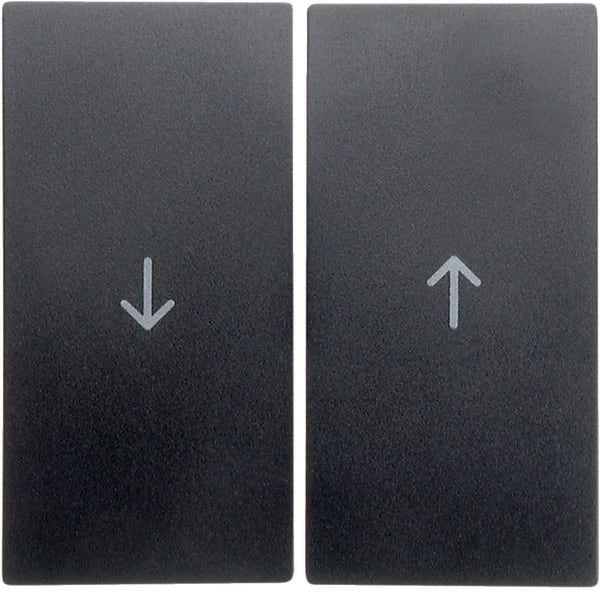 BERKER BRK16251606 Wippe 2fach mit Aufdruck Symbol Pfeil Be