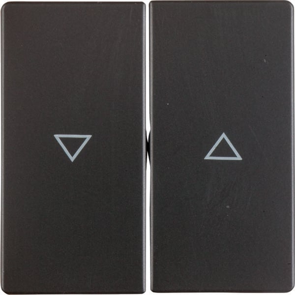 BERKER - BRK16256086 Wippe 2fach mit Aufdruck Symbol Pfeil Be