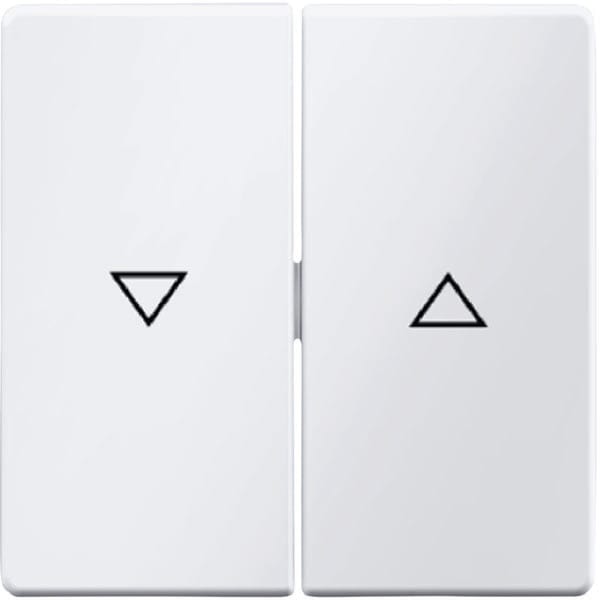 BERKER - BRK16256089 Wippe 2fach mit Aufdruck Symbol Pfeil Be