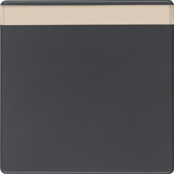 BERKER - BRK16266086 Wippe mit Beschriftungsfeld Berker Q.1/Q