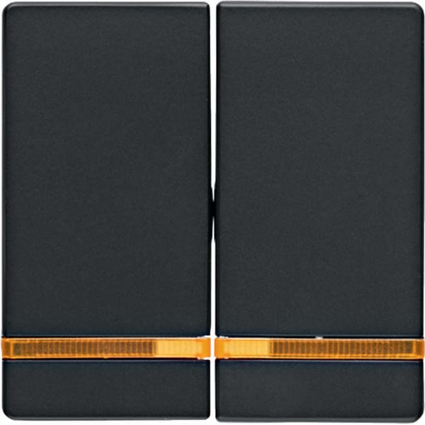 BERKER - BRK16276086 Wippe 2fach Berker Q.1/Q.3 anthrazit sam