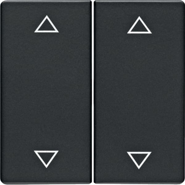 BERKER BRK16446086 Wippe 2fach mit Aufdruck Symbol Pfeile B