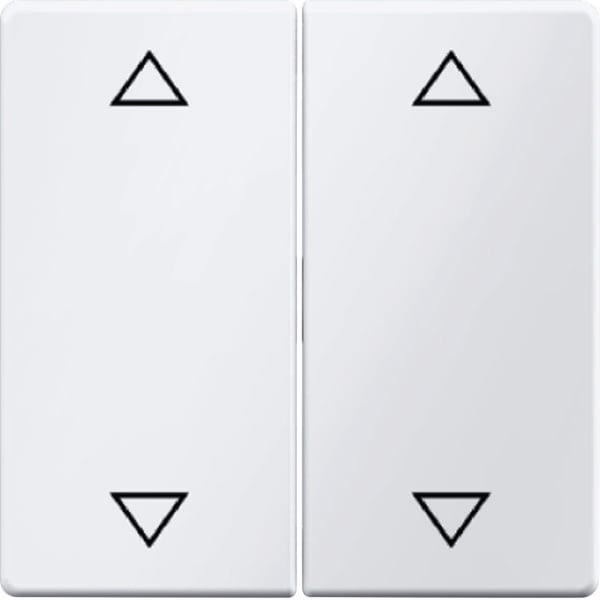 BERKER - BRK16446089 Wippe 2fach mit Aufdruck Symbol Pfeile B