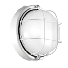 ROSSINI - RSS1696-B PLAFONIERA VETRO SATINATO