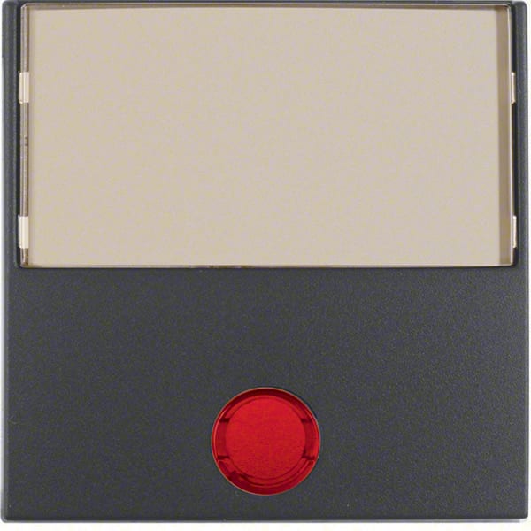 BERKER - BRK16961606 Wippe mit groBem Beschriftungsfeld, Lins