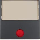 BERKER - BRK16961606 Wippe mit groBem Beschriftungsfeld, Lins