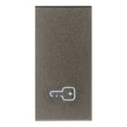 VIMAR SPA - VIW19021.P.M Tasto 1M simbolo chiave Metal