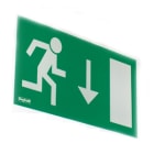 BEGHELLI - BEG19043 SCHERMO BANDIERA BASSO F65