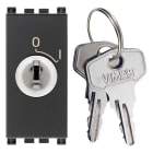 VIMAR SPA VIW19083.CU INTERR. 2P 16(3)A +CHIAVE UNIF. GRIGIO