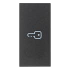 VIMAR SPA VIW19131.P TASTO 1M SIMBOLO CHIAVE ASSIALE GRIGIO