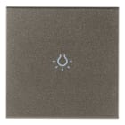 VIMAR SPA - VIW19132.L.M TASTO 2M SIMBOLO LUCE ASSIALE METAL